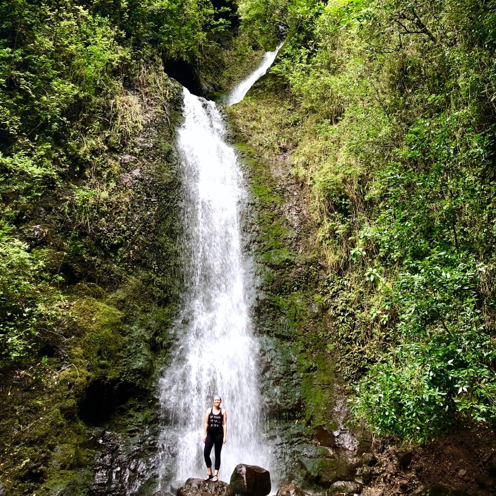 ☀️A L O H A 🌈